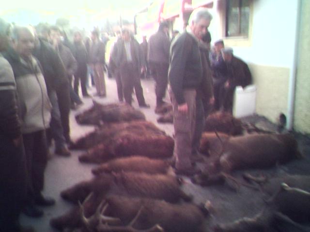 [29-12-07_1726.jpg]
