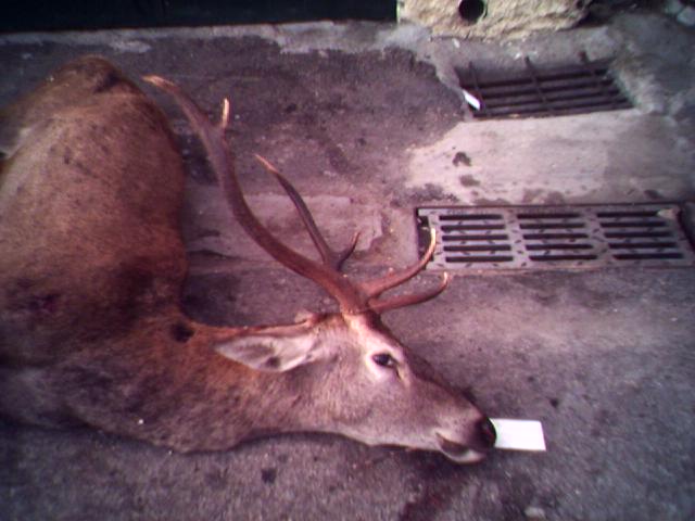 [29-12-07_1719.jpg]