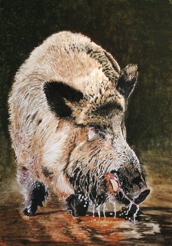 [tn_Ze-Javali%2002.jpg]