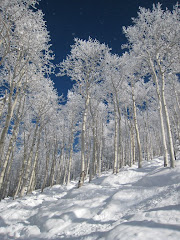 Christmas in Steamboat