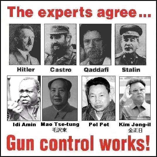 Gun control does work