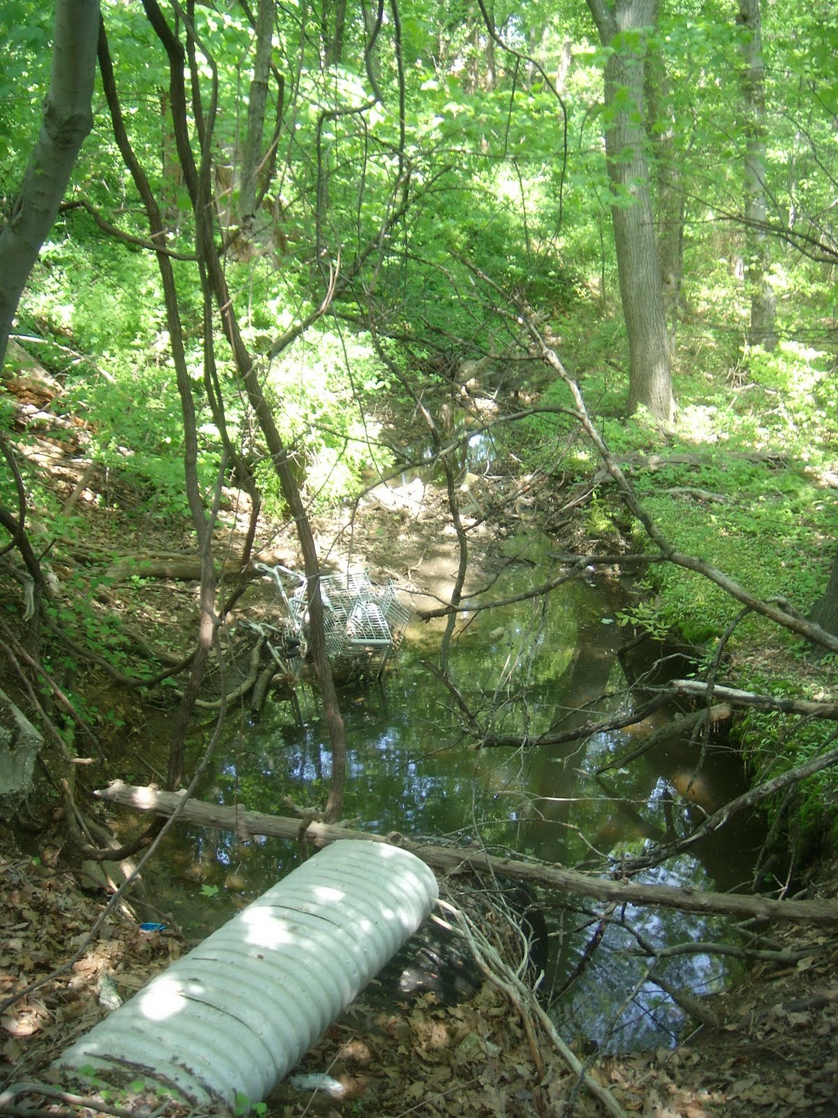 Aberdeen NJ Life Clapboard Creek Passes MAMS Enroute to Raritan Bay