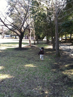 越谷市キャンベルタウン公園で鳩を追いかける息子