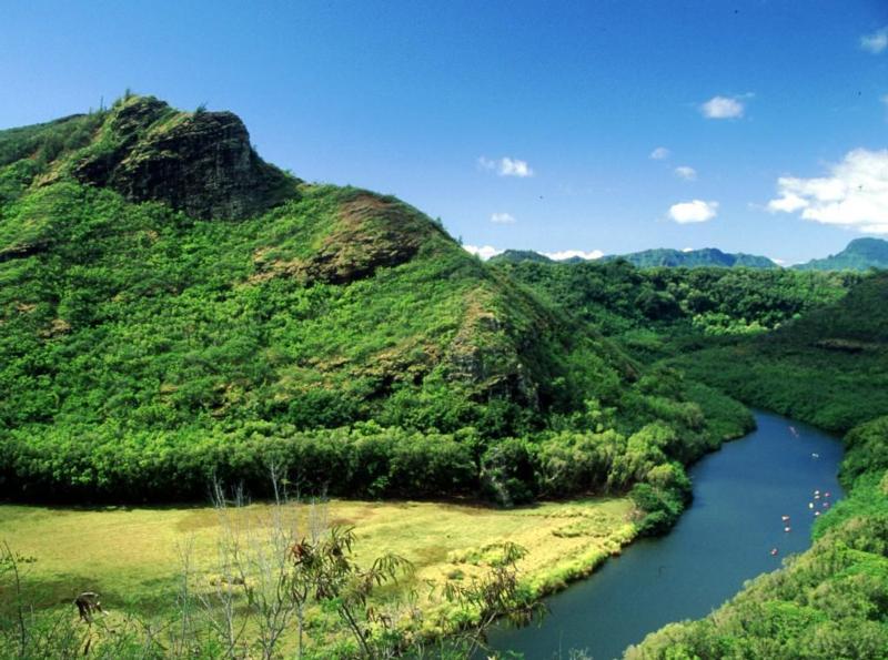 [river1.jpg]