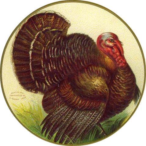 [vintage-thanksgiving-clipart-turkey-in-circle.png]