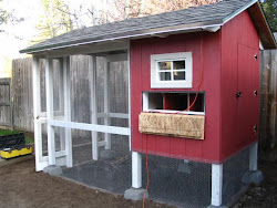 chicken coop cold weather plans chickens designs coops wire deluxe inside backyardchickens building outside too june backyard slippers snag eggs