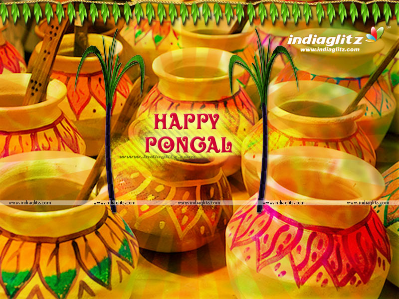 [pongal_100108_800_03.jpg]