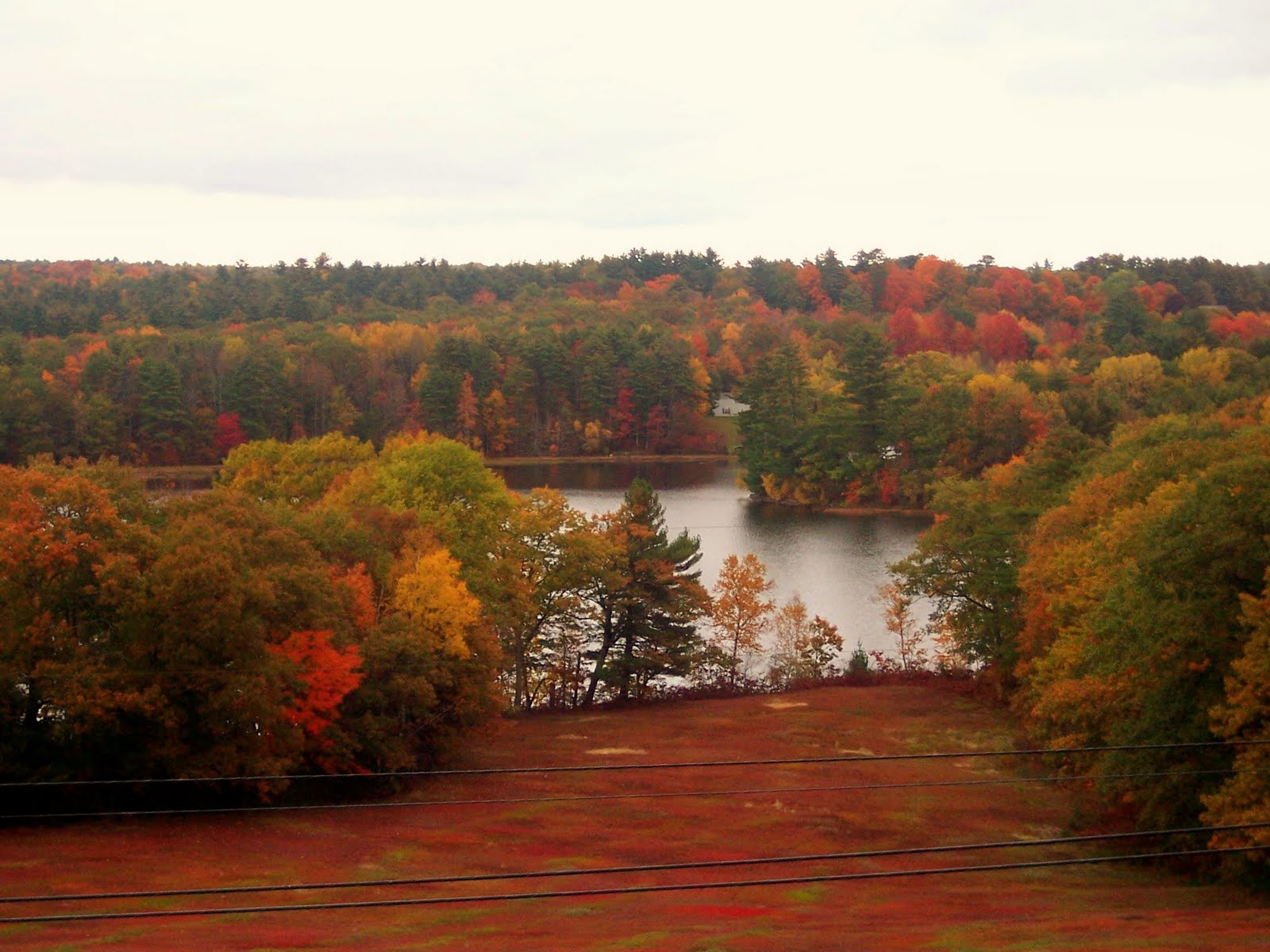 Clary Lake Bed and Breakfast
