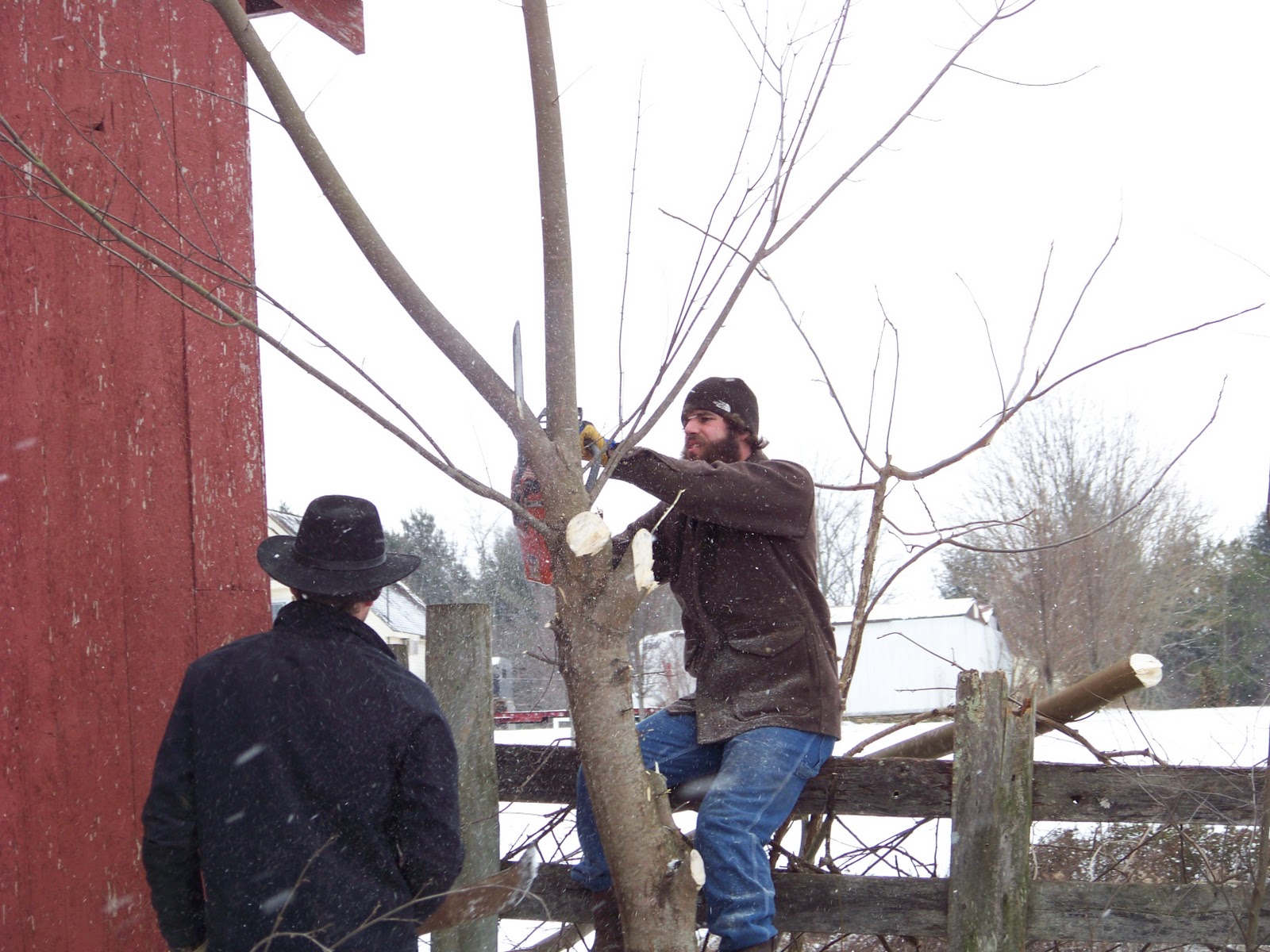 Open Range Farm