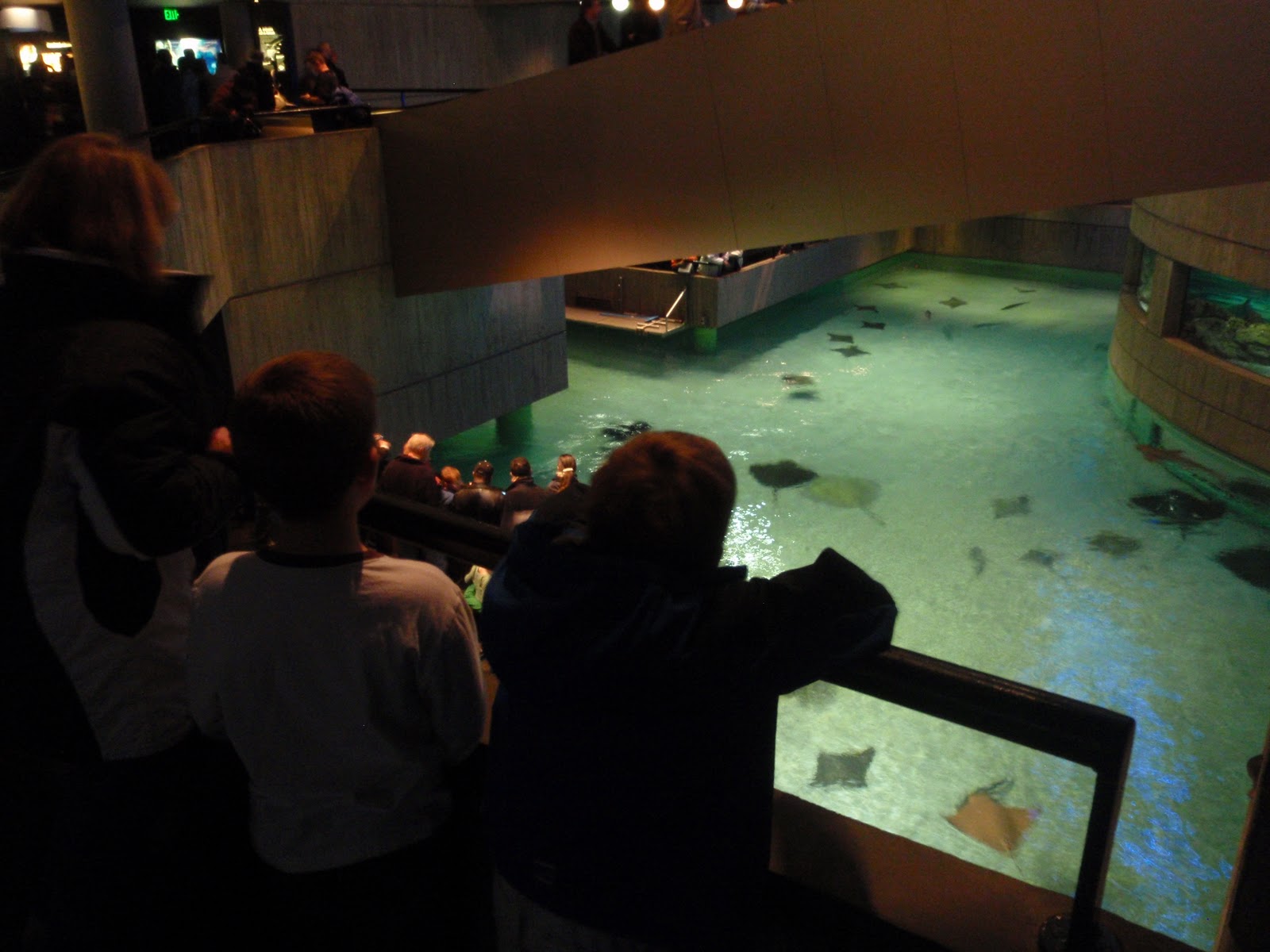 Blunoz Random Ramblings Baltimore