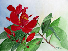 Rode Vietnamese bloem (te koop)