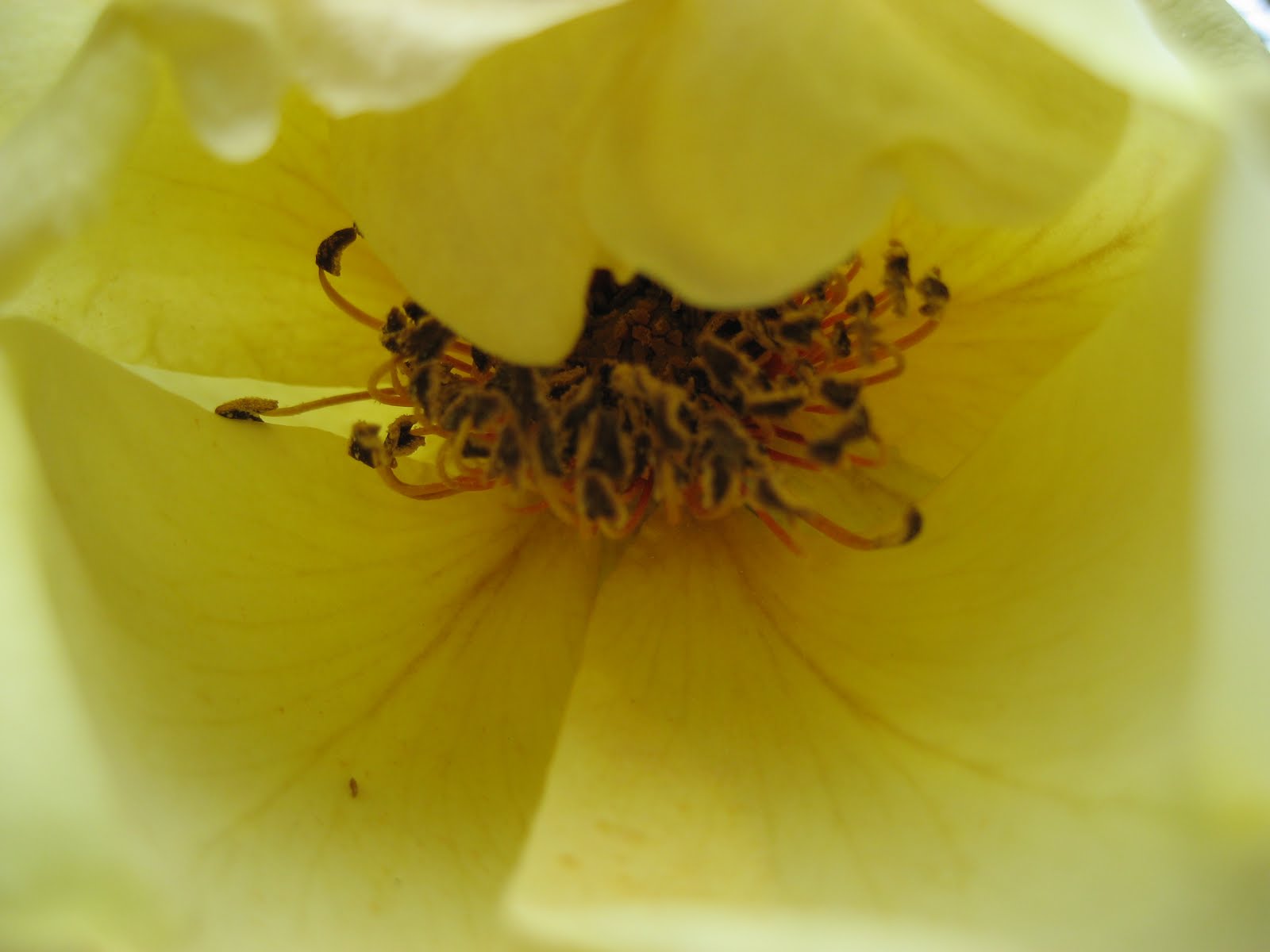 [IMG_6152.jpg]