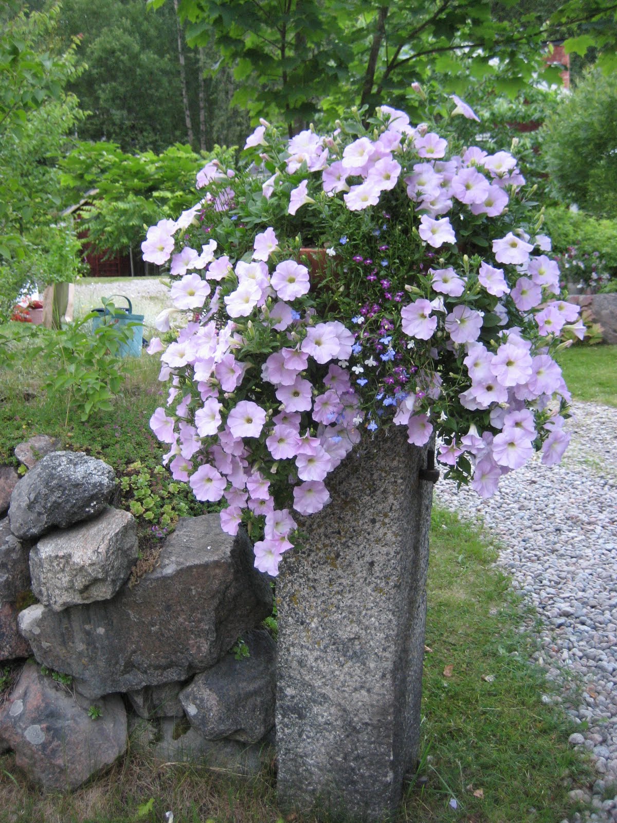 [IMG_4067.jpg]