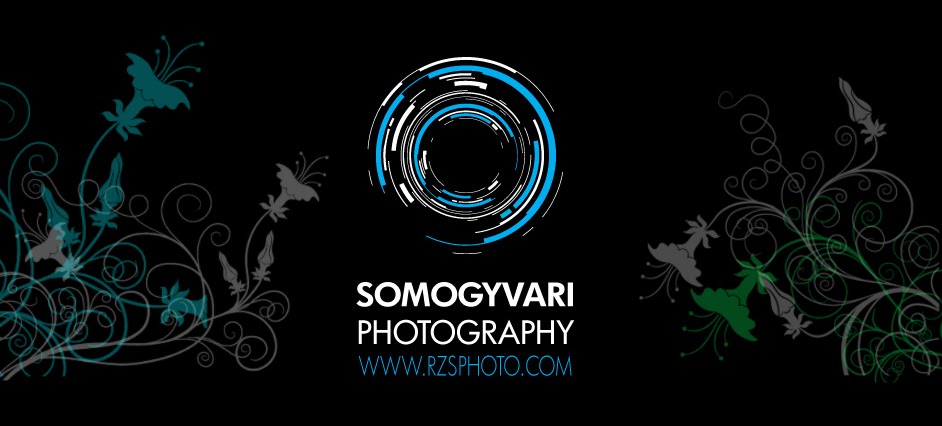 Cape Town Wedding Photography