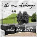 Color Key Challenge