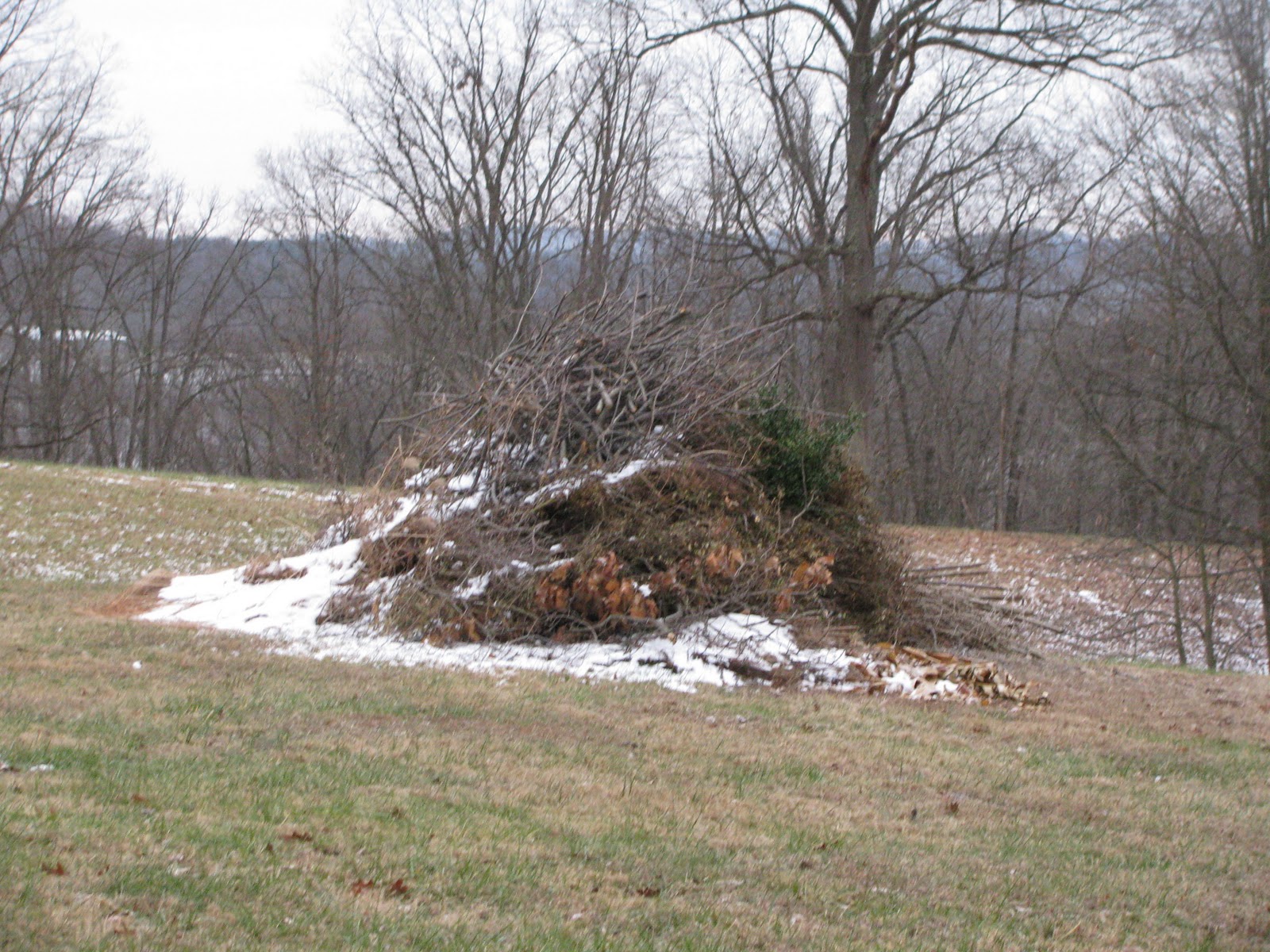 Beyond My Garden Brush Piles