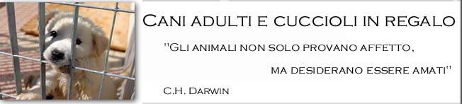 Adozione cani adulti e cuccioli in regalo in Puglia,anche di razza