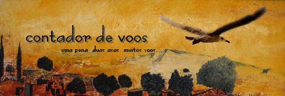 contador de voos