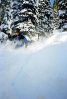 [ski23x5.jpg]