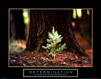 [determination.jpg]