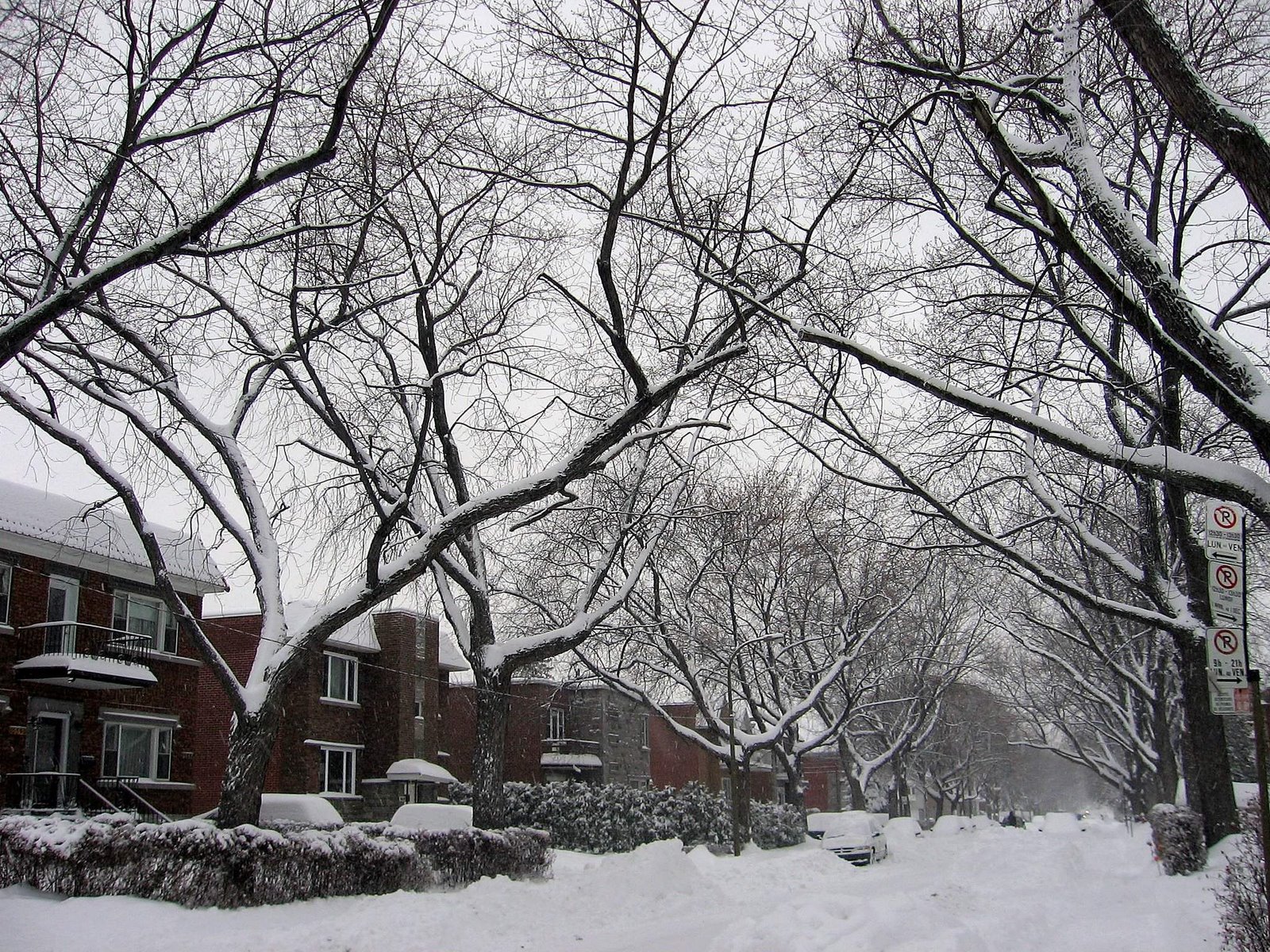 [tempete+de+neige+039b_2.jpg]