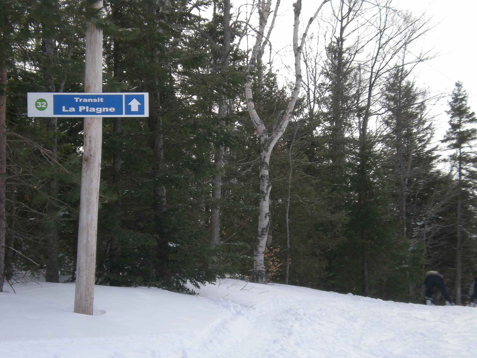 [ski+saint-sauveur+025.jpg]