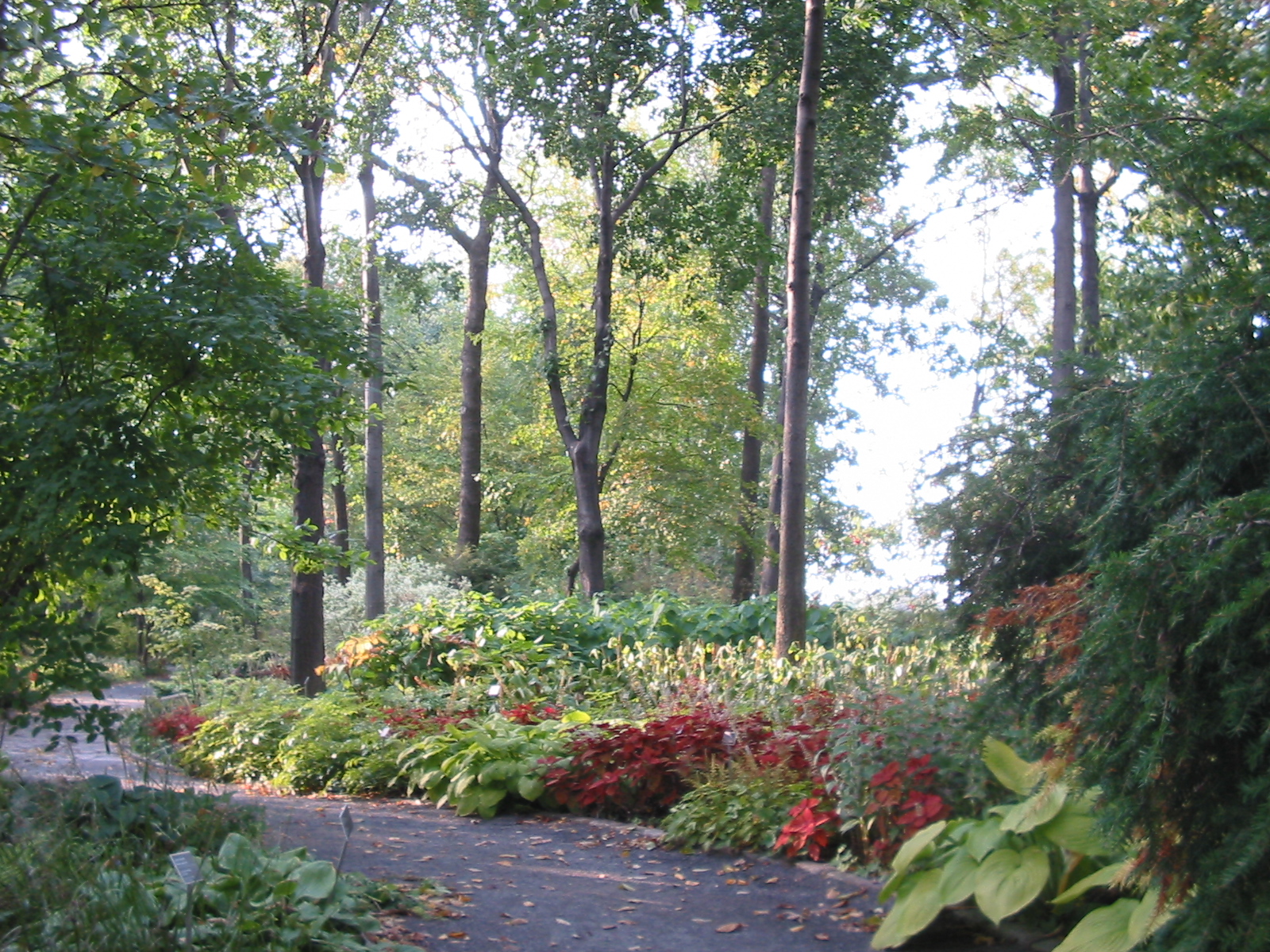 [Jardin+Botanique+044.jpg]