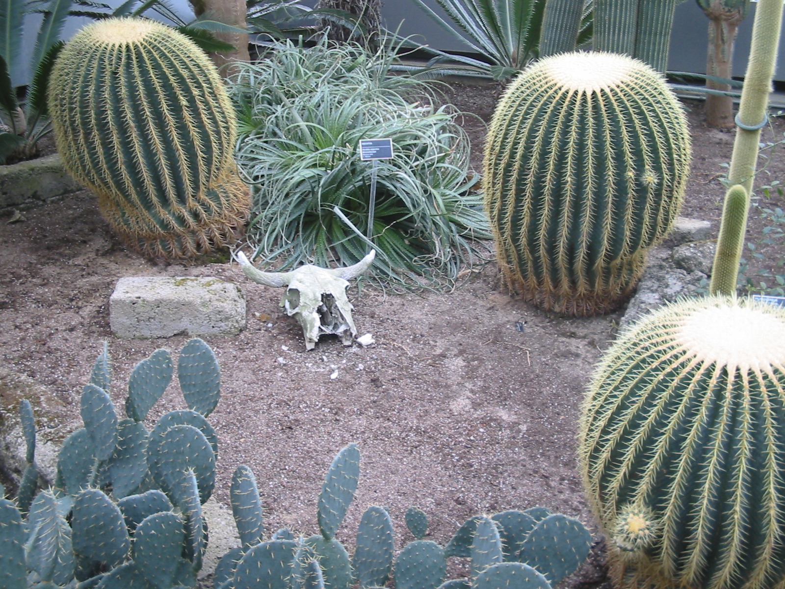 [Jardin+Botanique+031.jpg]