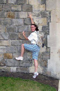 Scaling Windsor walls