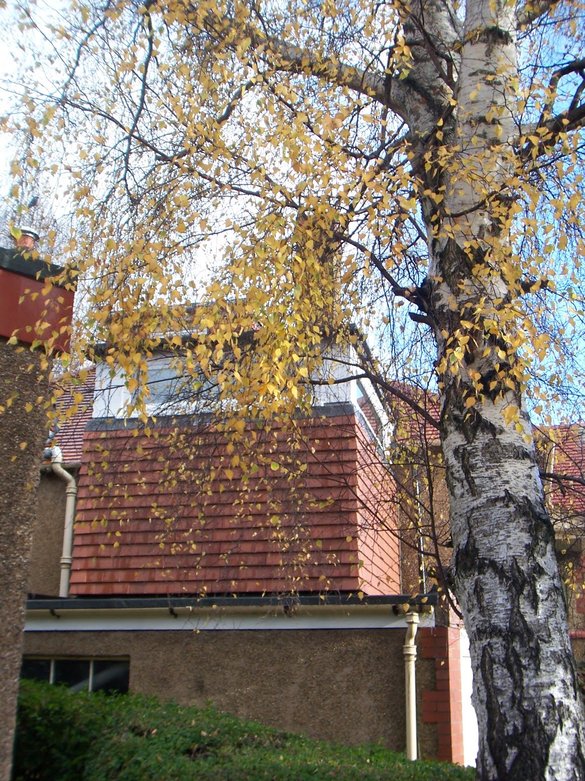 the edinburgh architect House extension, Greenbank, Edinburgh with