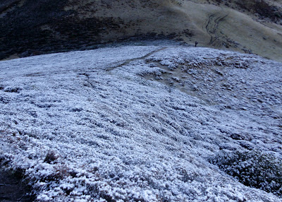 dzongri-goecha-la-trek