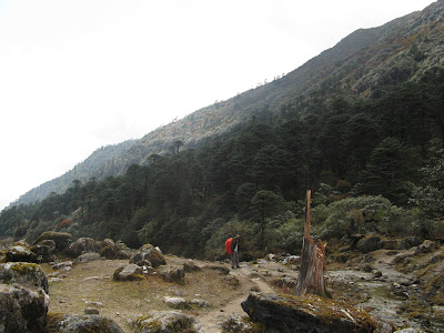 dzongri-goecha-la-trek
