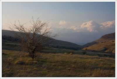 Караби-яйла