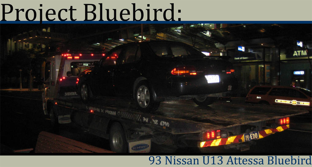 Project Bluebird