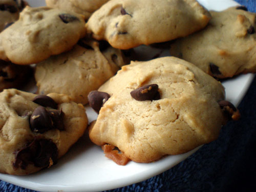 [choco+cookie.jpg]