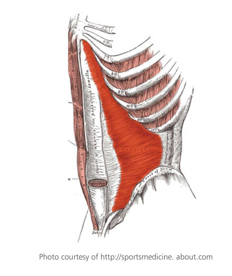 Fitness and Health Tips: The Most Asked Fitness Question is: