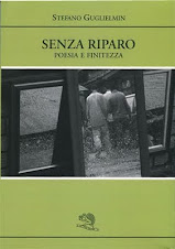 Stefano Guglielmin: 'Senza riparo. Poesia e finitezza'