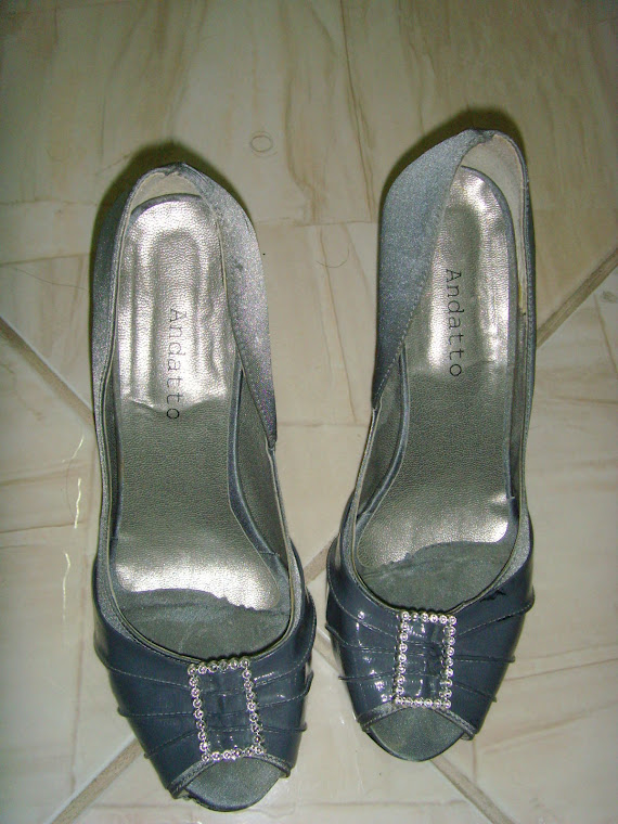Sapato Cinza com Lateral Prata