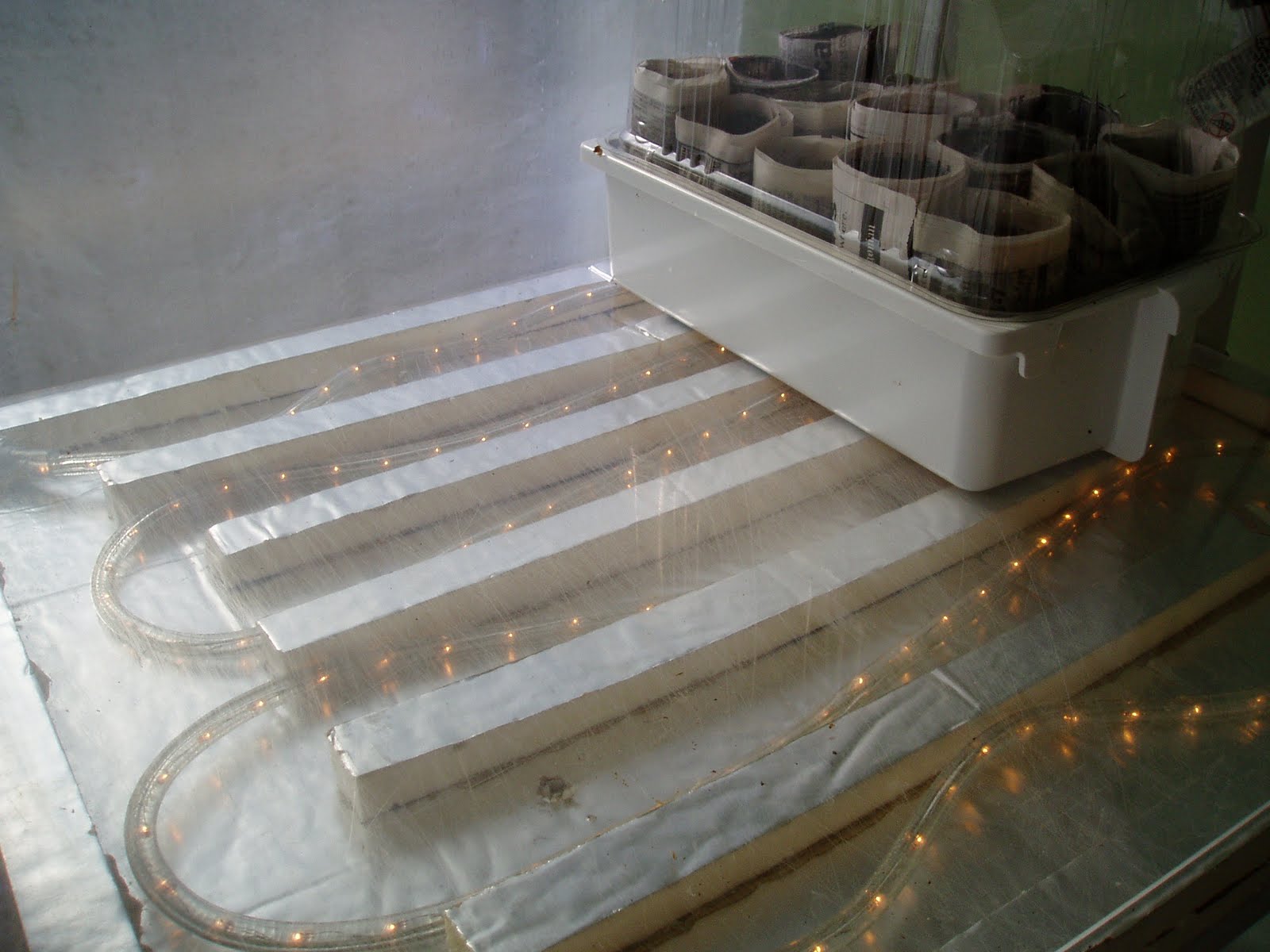 THE MUSINGS OF A TRANSPLANTED GARDENER Home built seedling warming tray
