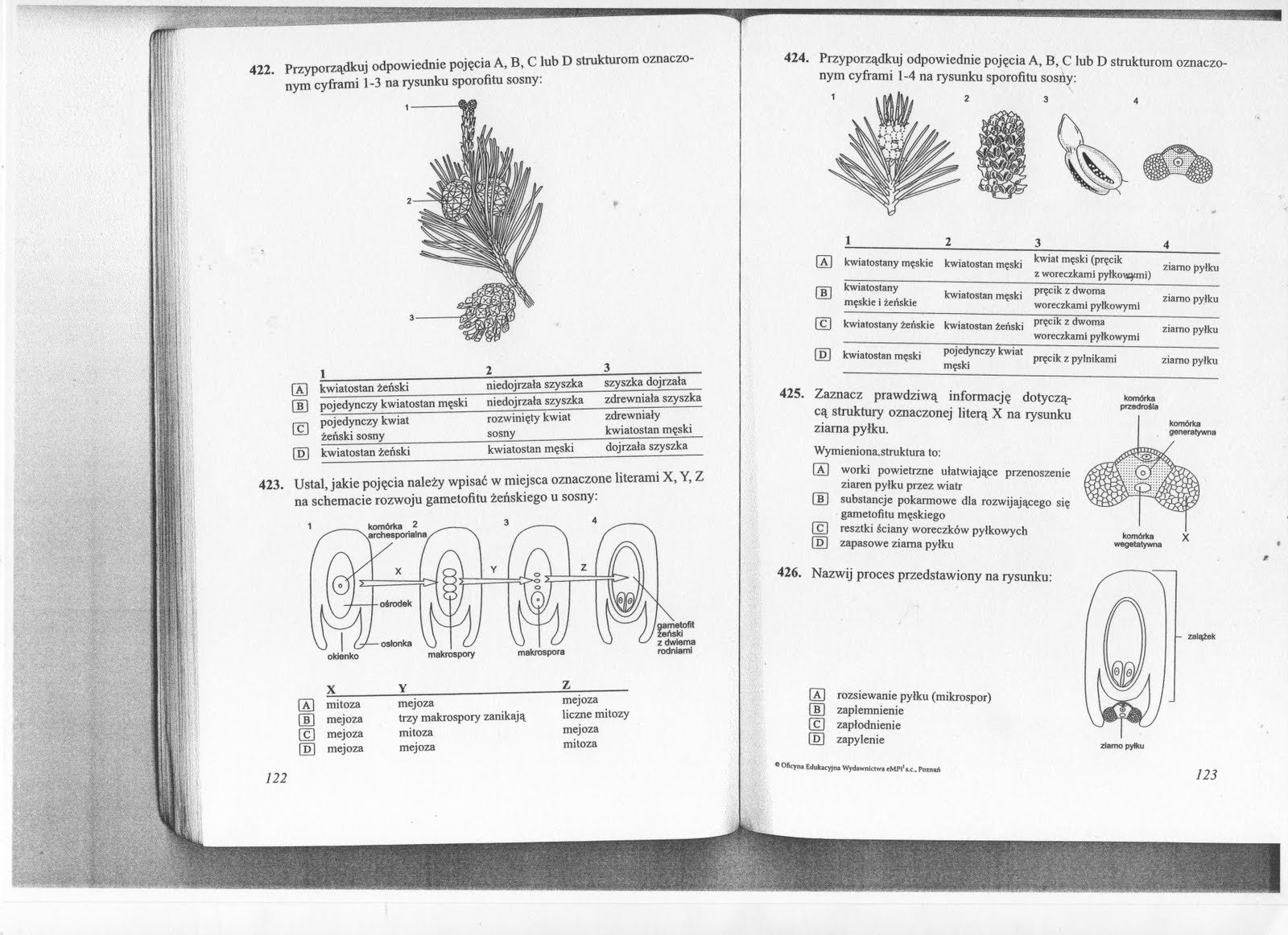 Sprawdzian Z Biologi Z świata Roślin - Biologiczno-Chemiczna: Rośliny nasienne