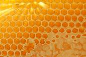 [honeycomb.JPG]