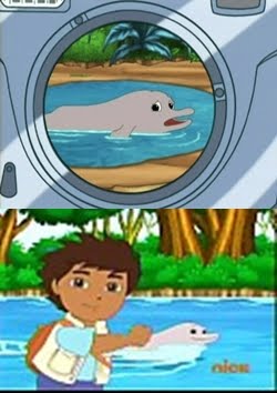 dora dolphin dora dolphin