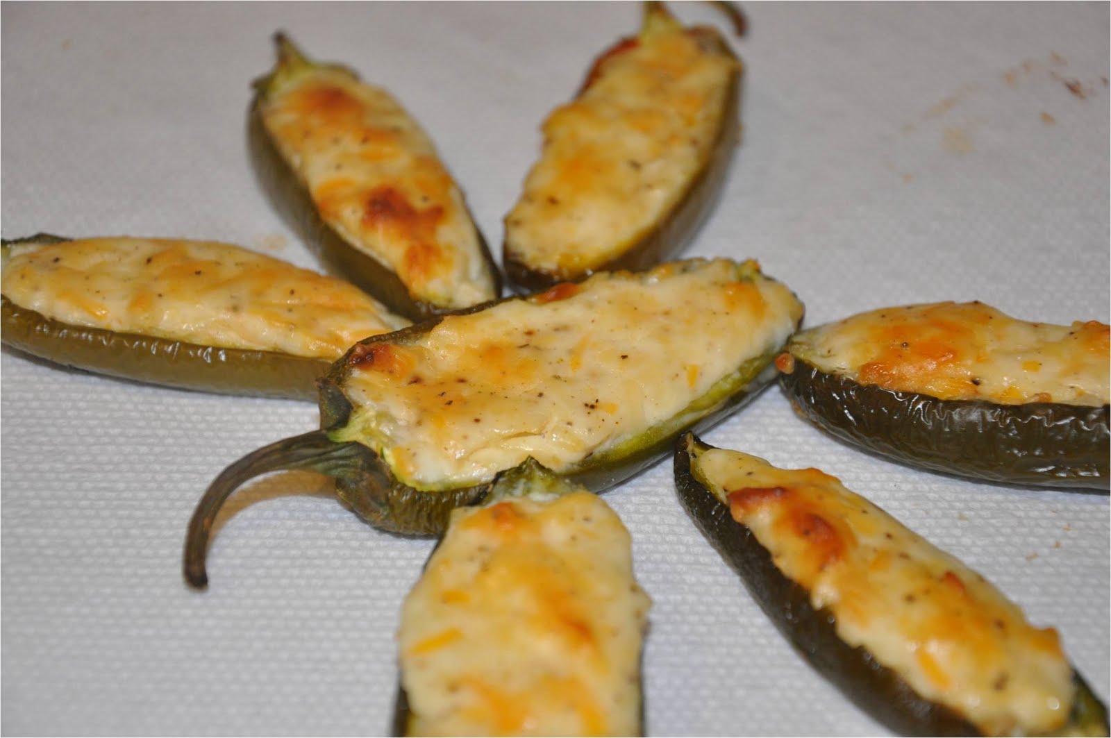 Mharo Rajasthan's Recipes Rajasthan A State in Western India Cheese