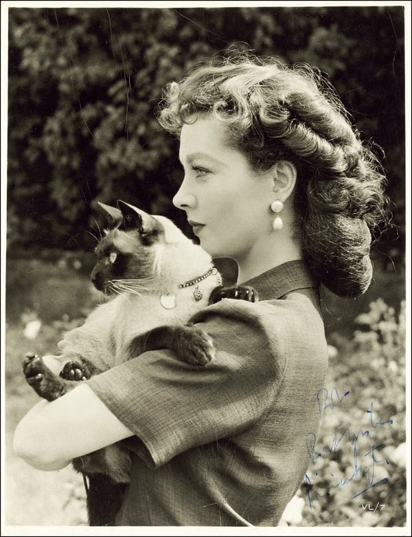 [Vivien+Leigh+suicideblonde.jpg]