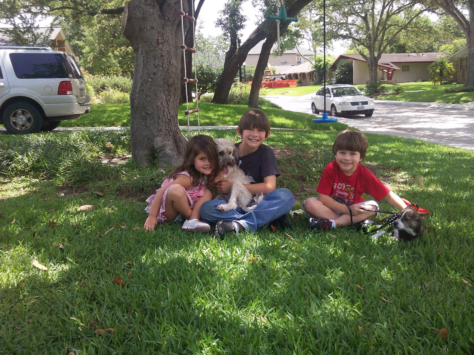 Adopt A Pet Houston About Us