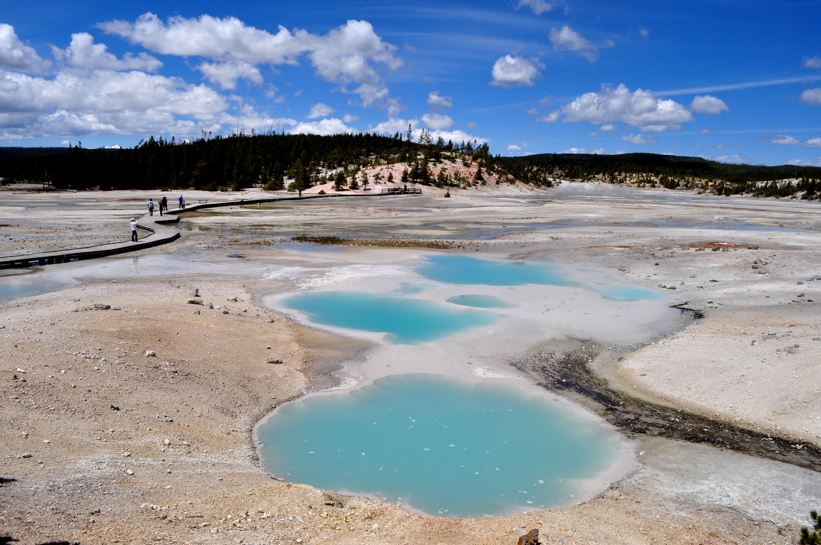 Norris Geyser Basin, Yellowstone National Park, Wyoming Kristina