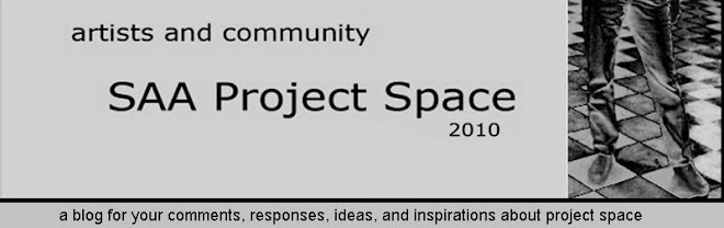 SAA Project Space 2010