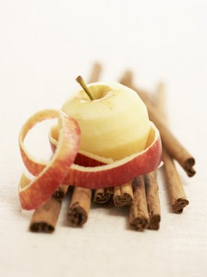 [320182~A-Peeled-Apple-on-Cinnamon-Sticks-Posters.jpg]