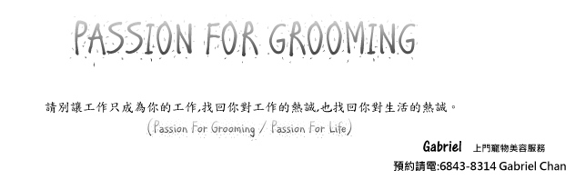 Passion For Grooming Gabriel上門寵物美容