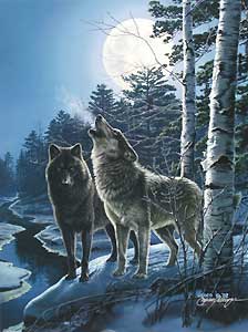 [wolves+in+moonlight.jpg]